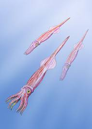 images (3)