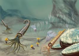 images (4)