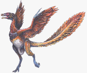 Archaeopteryx